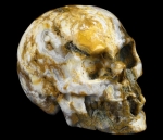 Skull Ocean Jaspis